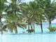 Ein blitzblauer Swimmingpool, im Hintergrund Palmen und das Meer