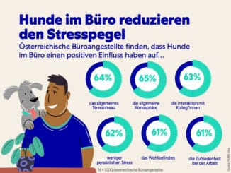 Zu sehen ist eine Infografik, welche den Stresspegel am Arbeitsplatz und die Reduktion dessen durch Bürohunde abbildet. © Mars Austria