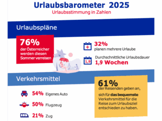 Zu sehen ist eine Graphik, die unter anderem zeigt, dass 76 % der Befragten im Sommer verreisen werden.