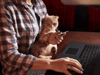 Person mit Katze auf dem Arm beim Online-Shopping