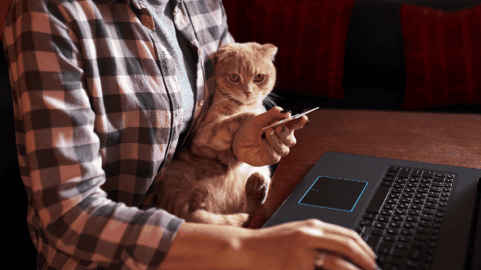 Person mit Katze auf dem Arm beim Online-Shopping